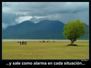 ...y sale como alarma en cada situación... 