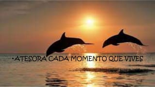 •ATESORA CADA MOMENTO QUE VIVES
 