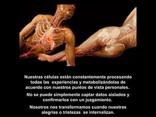 Nuestras células están constantemente procesando todas las  experiencias y metabolizándolas de acuerdo con nuestros puntos de vista personales.  No se puede simplemente captar datos aislados y confirmarlos con un juzgamiento.  Nosotros nos transformamos cuando nuestras alegrias o tristezas  se internalizan. 