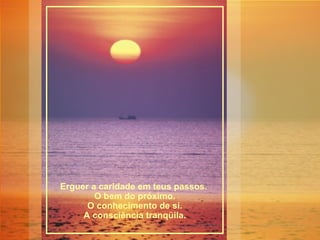 Felicidadde E Merecimento