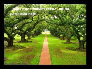 ...mas que também existe  muita perfeição nele... 