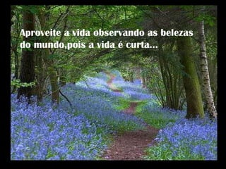 Aproveite a vida observando as belezas do mundo,pois a vida é curta... 