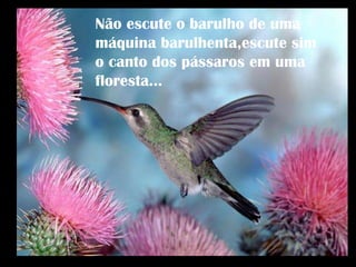 Não escute o barulho de uma máquina barulhenta,escute sim o canto dos pássaros em uma floresta... 