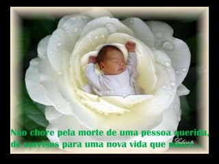 Não chore pela morte de uma pessoa querida, dê sorrisos para uma nova vida que nasce... 
