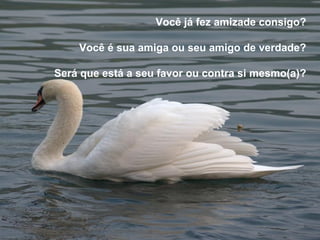 Você já fez amizade consigo? Você é sua amiga ou seu amigo de verdade? Será que está a seu favor ou contra si mesmo(a)? 