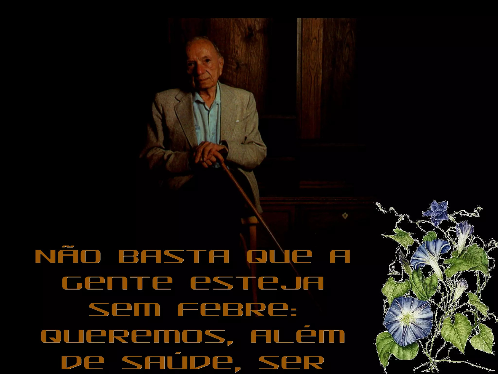 Não basta que a gente esteja sem febre: queremos, além de saúde, ser magérrimos, sarados, irresistíveis. 