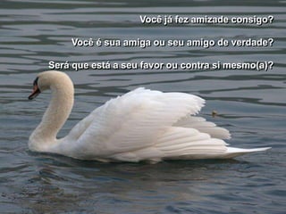 Você já fez amizade consigo?

    Você é sua amiga ou seu amigo de verdade?

Será que está a seu favor ou contra si mesmo(a)?
 