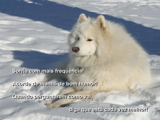 Sorria com mais freqüência!

Acorde de manhã de bom humor!

Quando perguntarem como vai,

                     diga que está cada vez melhor!
 