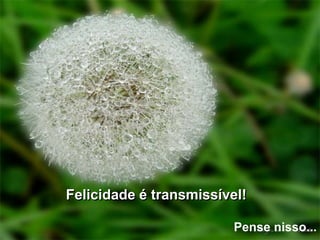 Felicidade é transmissível!

                         Pense nisso...
 
