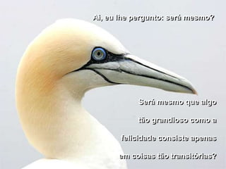 Ai, eu lhe pergunto: será mesmo?




            Será mesmo que algo

           tão grandioso como a

       felicidade consiste apenas

      em coisas tão transitórias?
 