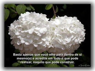 Basta apenas que você olhe para dentro de si
  mesmo(a) e acredite em tudo o que pode
    realizar, naquilo que pode construir.
 