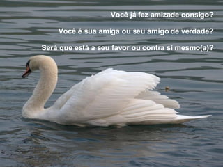 Você já fez amizade consigo? Você é sua amiga ou seu amigo de verdade? Será que está a seu favor ou contra si mesmo(a)? 