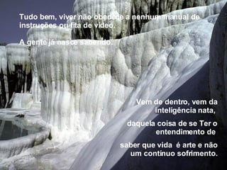 Tudo bem, viver não obedece a nenhum manual de instruções ou fita de vídeo.  A gente já nasce sabendo.  Vem de dentro, vem da inteligência nata,  daquela coisa de se Ter o entendimento de  saber que vida  é arte e não um contínuo sofrimento. 