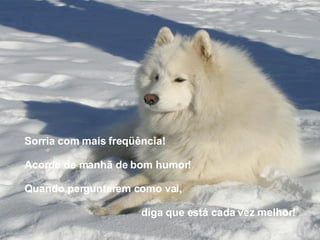 Sorria com mais freqüência! Acorde de manhã de bom humor! Quando perguntarem como vai, diga que está cada vez melhor! 