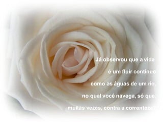 Já observou que a vida  é um fluir contínuo como as águas de um rio, no qual você navega, só que, muitas vezes, contra a correnteza? 