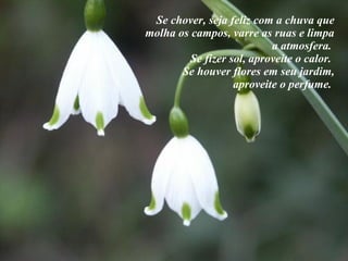 Se chover, seja feliz com a chuva que molha os campos, varre as ruas e limpa a atmosfera.  Se fizer sol, aproveite o calor.  Se houver flores em seu jardim, aproveite o perfume.  
