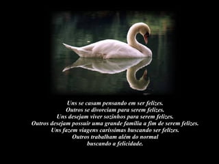 Uns se casam pensando em ser felizes.  Outros se divorciam para serem felizes.  Uns desejam viver sozinhos para serem felizes.  Outros desejam possuir uma grande família a fim de serem felizes.  Uns fazem viagens caríssimas buscando ser felizes.  Outros trabalham além do normal  buscando a felicidade.  