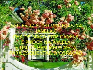 SER FELIZ É TER VIOLETAS NA JANELA,É CHÁ DE MAÇÃ COM CANELA, É PIPOCA NA PANELA, É UM CD BEM MELA-MELA, PARA ESQUENTAR O CORAÇÃO. 