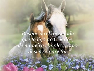 Busque a religiosidade  que te liga ao Criador,  de maneira simples, como  Jesus sempre foi.   