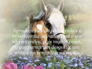 Agradeça tudo, o pão, a vida e a misericórdia, agradeça até o que não entendeu, pois muitas vezes,  o que parece um desgosto, um erro, é na verdade a salvação. 