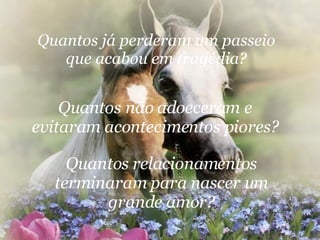 Quantos já perderam um passeio que acabou em tragédia? Quantos não adoeceram e evitaram acontecimentos piores? Quantos relacionamentos terminaram para nascer um grande amor? 