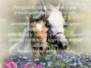 Porquanto não sabemos o que  é realmente melhor para nós. Devemos afastar as lamentações  e agradecer sempre, não desistir nunca, e mesmo diante de uma cortina de lágrimas, seguir adiante, em  busca do que acreditamos. 