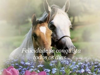 Felicidade se conquista  todos os dias... 