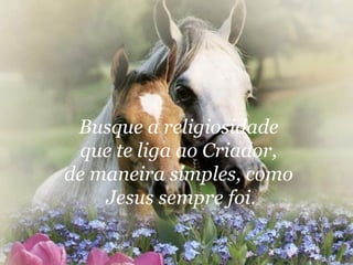 Busque a religiosidade  que te liga ao Criador,  de maneira simples, como  Jesus sempre foi.   