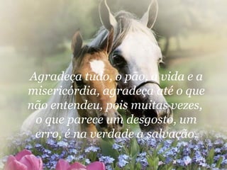 Agradeça tudo, o pão, a vida e a misericórdia, agradeça até o que não entendeu, pois muitas vezes,  o que parece um desgosto, um erro, é na verdade a salvação. 