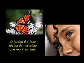 Eu poderia ter sido jardineiro...  Como não fui, tento fazer  jardinagem como educador,  ensinando às crianças,  minhas amigas, o encanto  pela natureza. O jardim é a face divina da nostalgia que mora em nós. 