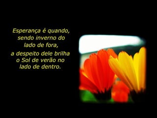 Esperança é quando, sendo inverno do lado de fora, a despeito dele brilha o Sol de verão no lado de dentro. 