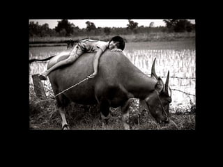 Verdade, Bondade, Liberdade... 