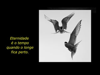 Mas morrerá  em pleno vôo. O que é muito bonito. Eternidade  é o tempo quando o longe fica perto. 