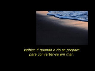 Velhice é quando o rio se prepara para converter-se em mar. 