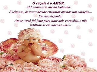 É teimoso, às vezes decide encantar apenas um coração... Eu vivo dizendo:  Amor, você foi feito para unir dois corações, e não infiltrar-se em apenas um!... O caçula é o AMOR. Ah! como esse me dá trabalho! 