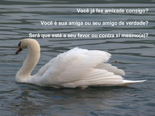 Você já fez amizade consigo? Você é sua amiga ou seu amigo de verdade? Será que está a seu favor ou contra si mesmo(a)? 