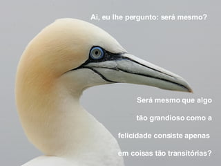 Será mesmo que algo tão grandioso como a felicidade consiste apenas  em coisas tão transitórias? Ai, eu lhe pergunto: será mesmo?  