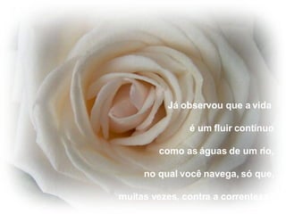 Já observou que a vida  é um fluir contínuo como as águas de um rio, no qual você navega, só que, muitas vezes, contra a correnteza? 