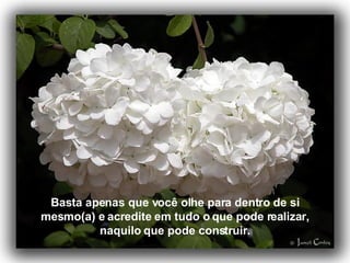 Basta apenas que você olhe para dentro de si mesmo(a) e acredite em tudo o que pode realizar, naquilo que pode construir. 