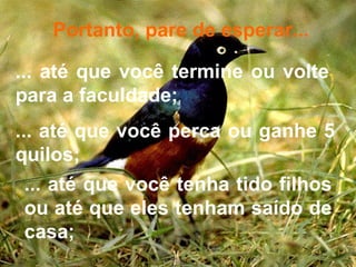 Portanto, pare de esperar... ... até que você termine ou volte para a faculdade;  ... até que você perca ou ganhe 5 quilos;  ... até que você tenha tido filhos ou até que eles tenham saído de casa; 
