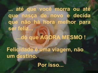 ... até que você morra ou até que nasça de novo e decida que não há hora melhor para ser feliz... ...do que AGORA MESMO ! Felicidade é uma viagem, não um destino.  Por isso... 