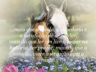 ...mais que a escola, a sabedoria e a satisfação de aprender, mais do que ler um livro, viajar na história, ter prazer, mais do que a emoção, viver a situação com a razão. 