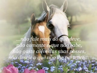 ...não fale mais do que deve,  não comente o que não sabe, não gaste além das suas posses, não deseje o que não lhe pertence...  