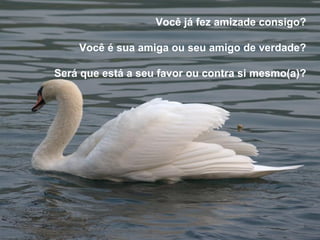 Você já fez amizade consigo? Você é sua amiga ou seu amigo de verdade? Será que está a seu favor ou contra si mesmo(a)? 