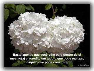 Basta apenas que você olhe para dentro de si mesmo(a) e acredite em tudo o que pode realizar, naquilo que pode construir. 