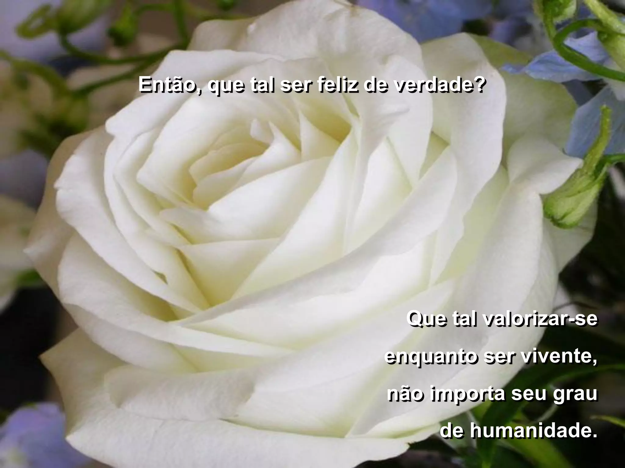 Então, que tal ser feliz de verdade?




                           Que tal valorizar-se
                         enquanto ser vivente,
                         não importa seu grau
                               de humanidade.
 