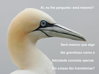Ai, eu lhe pergunto: será mesmo?




            Será mesmo que algo

           tão grandioso como a

      felicidade consiste apenas

      em coisas tão transitórias?
 