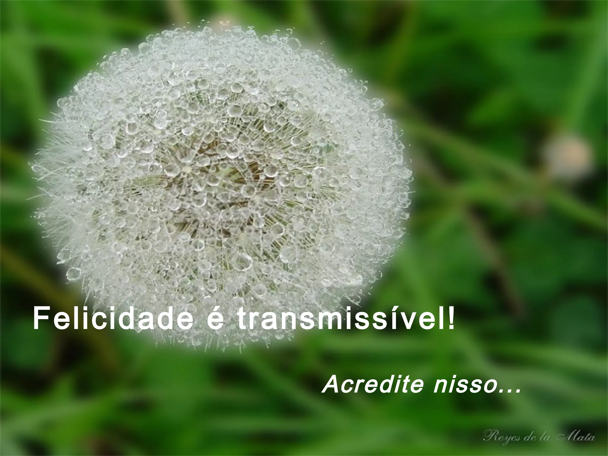 Felicidade é transmissível!
                  


                     Acredite nisso...
 