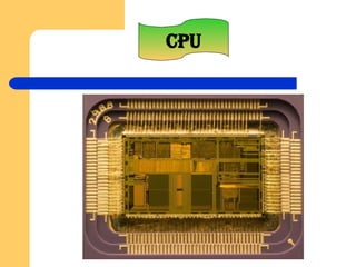 CPU 