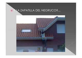 Felicidades Tatooo!!